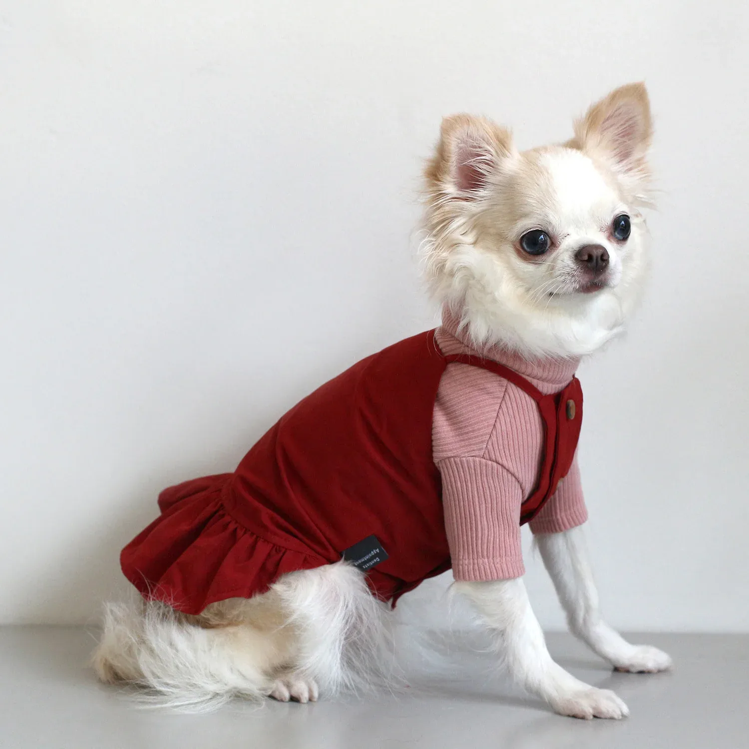 DENTISTS APPOINTMENT | Camisole Dress in Red