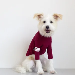 DENTISTS APPOINTMENT | Striped Point Turtleneck in Burgundy