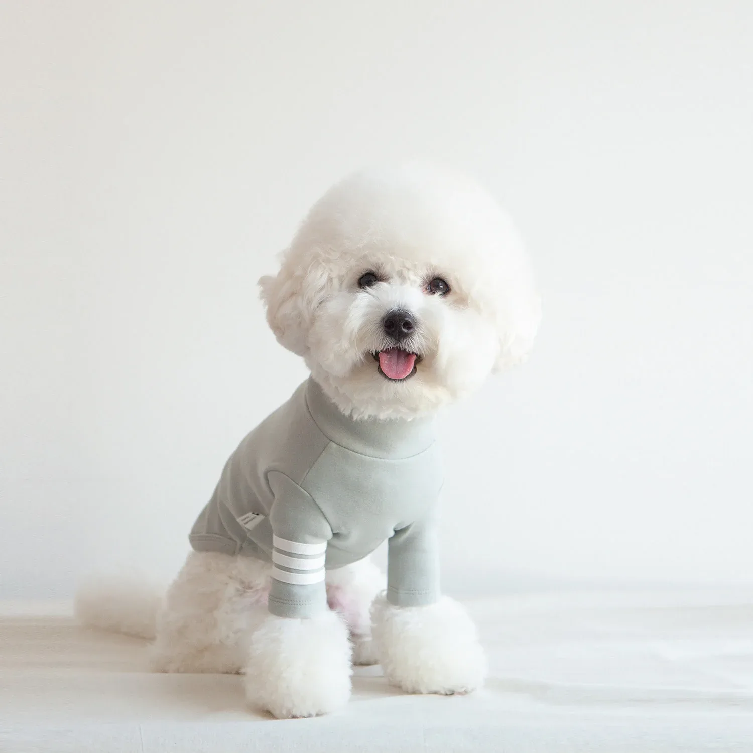 DENTISTS APPOINTMENT | Striped Point Turtleneck in Mint Grey
