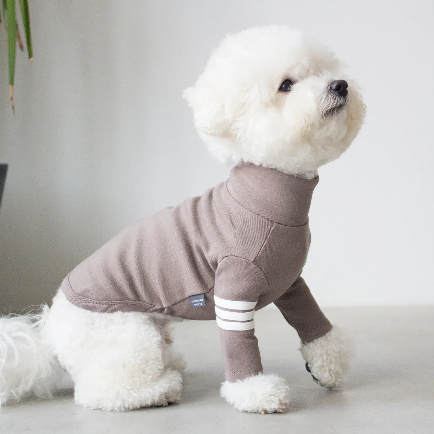 DENTISTS APPOINTMENT | Striped Point Turtleneck in Mocha