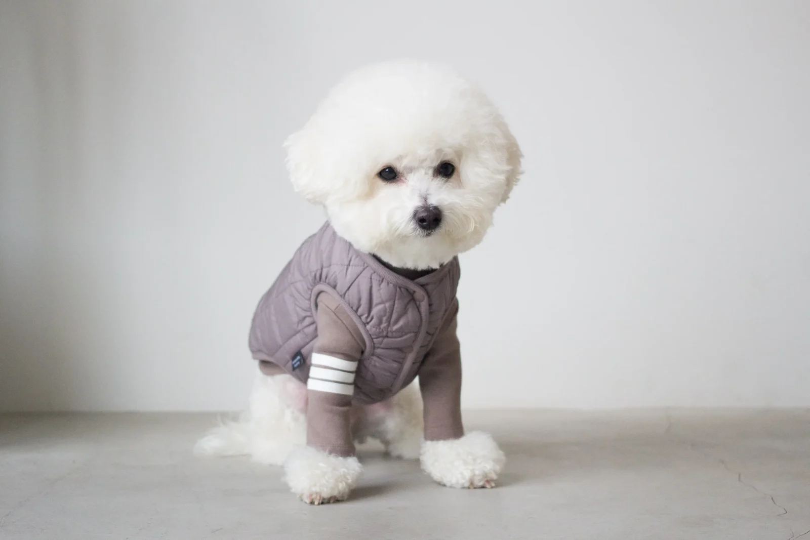 DENTISTS APPOINTMENT | Warm Quilted Vest in Mocha (w/ Harness Hole) - Image 2