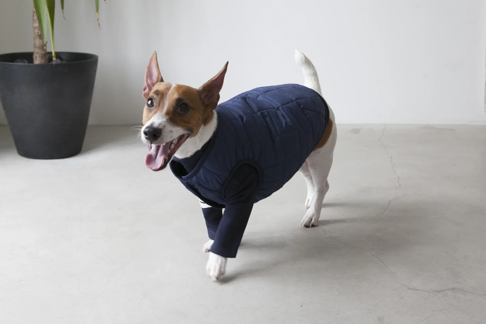 DENTISTS APPOINTMENT | Warm Quilted Vest in Navy (w/ Harness Hole) - Image 2