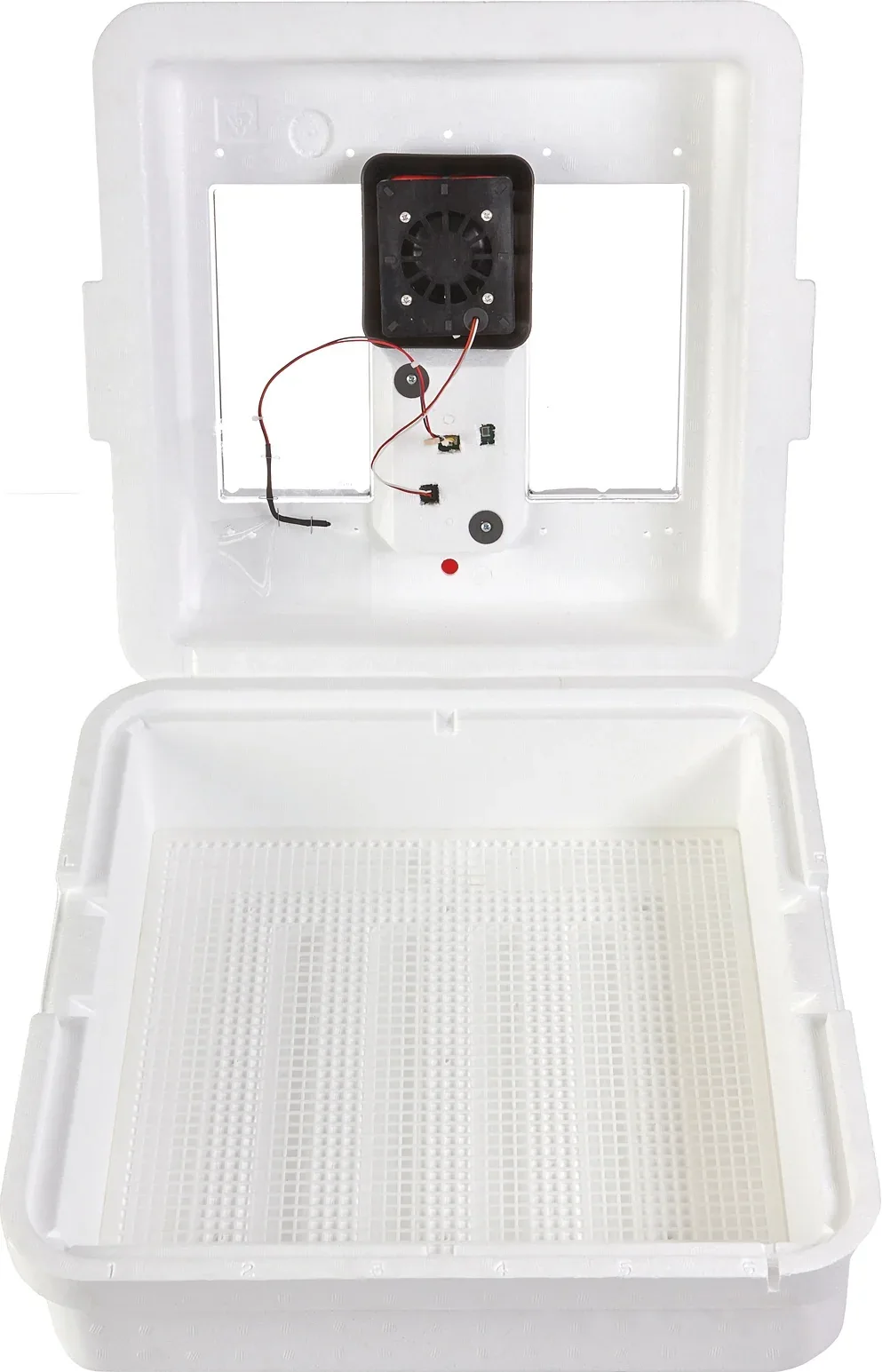 Digital Still Air Incubator