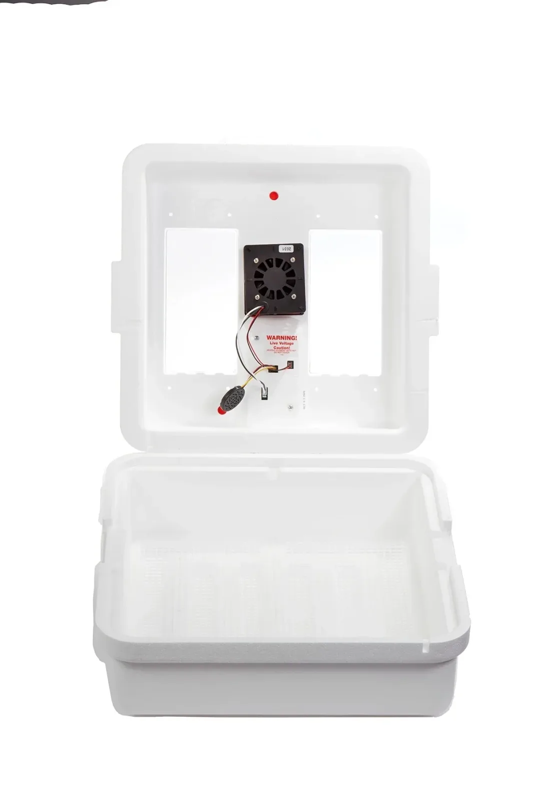 Digital Still Air Incubator - Image 2