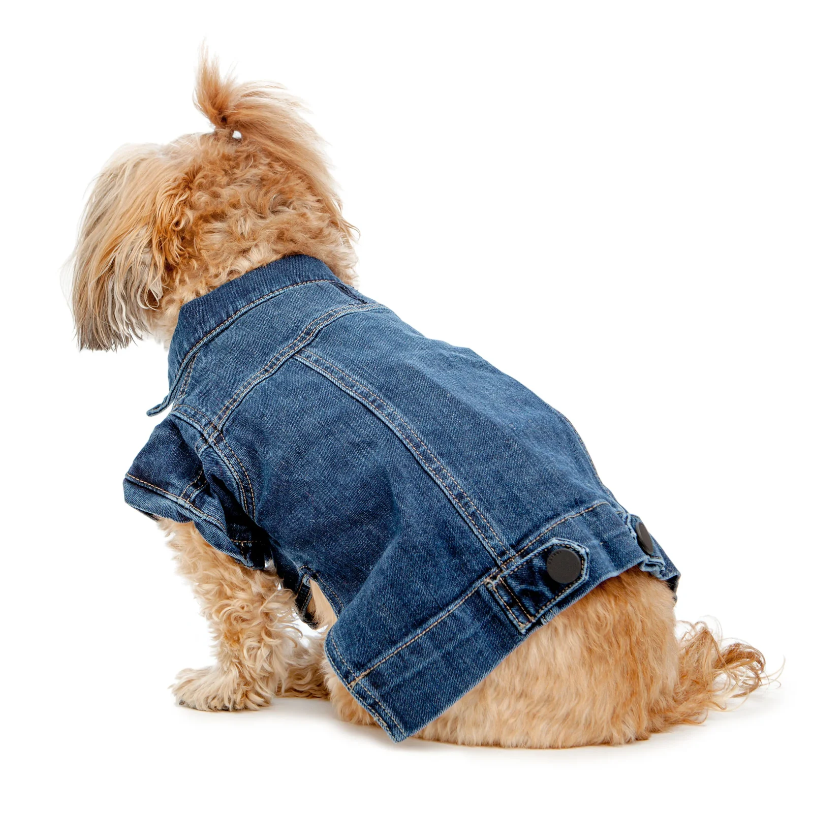 DL1961 | Denim Jacket in Puppy Breath - Image 2