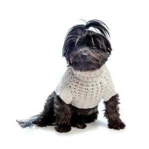 DNY | Chunky Knit Beach Sweater in Shell