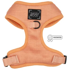 Dog Adjustable Harness - Apple Cider