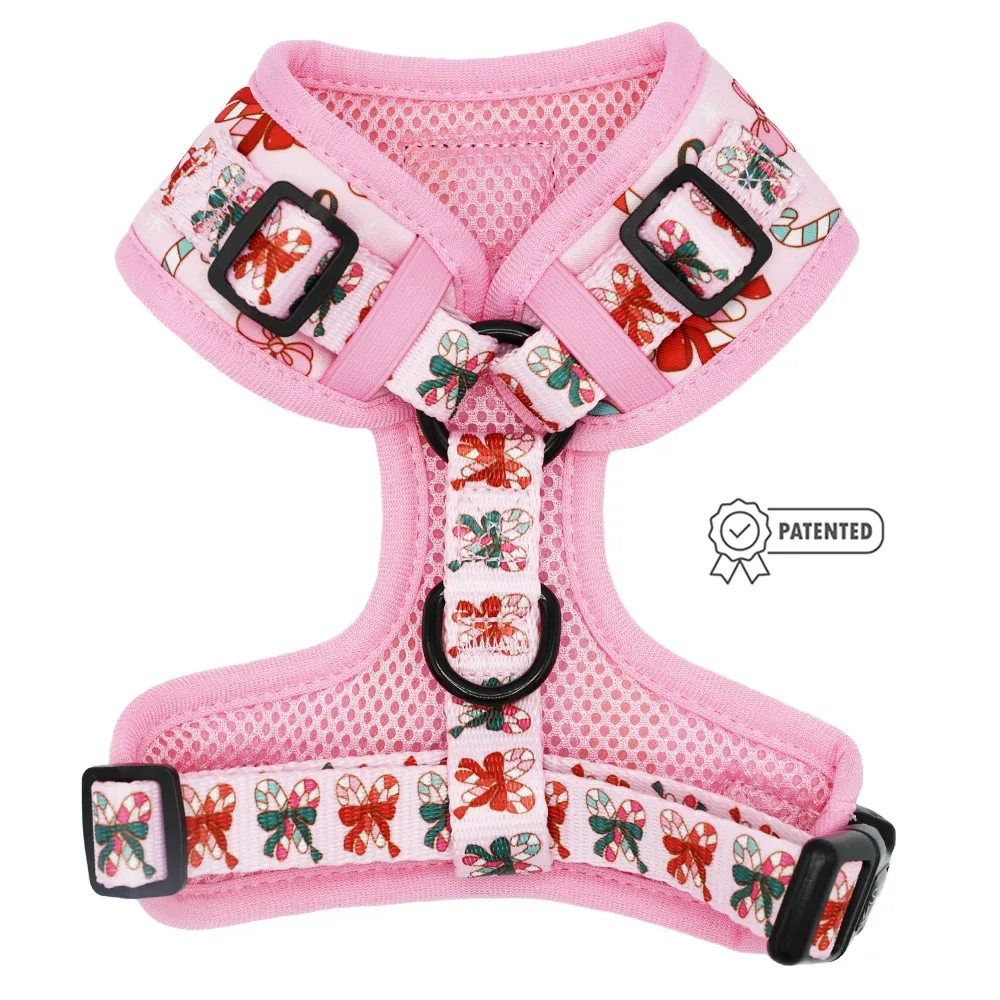 Dog Adjustable Harness - Candy Cane Coquette - Image 2
