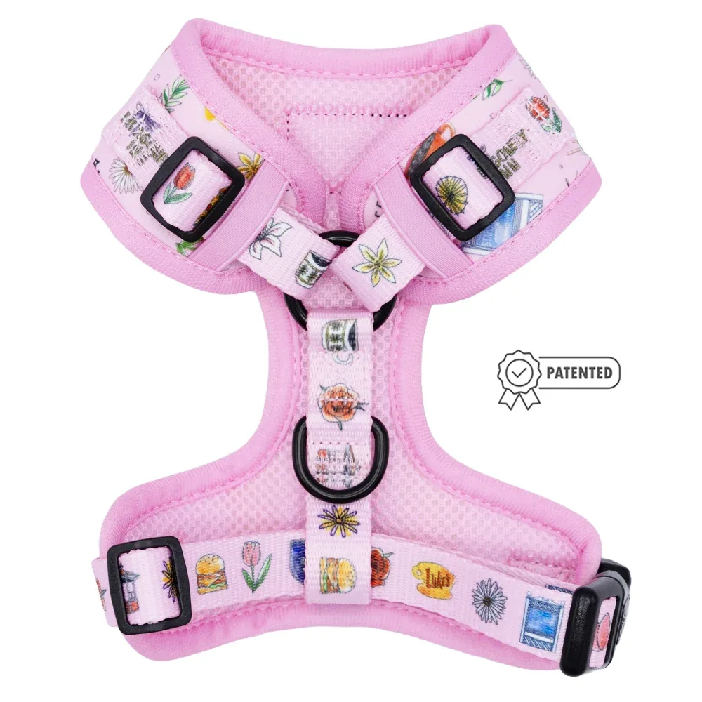 Dog Adjustable Harness - Gilmore Girls™ - Image 2