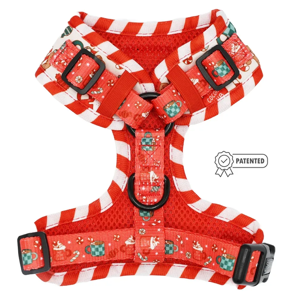 Dog Adjustable Harness - Hot Cocoa Club - Image 2