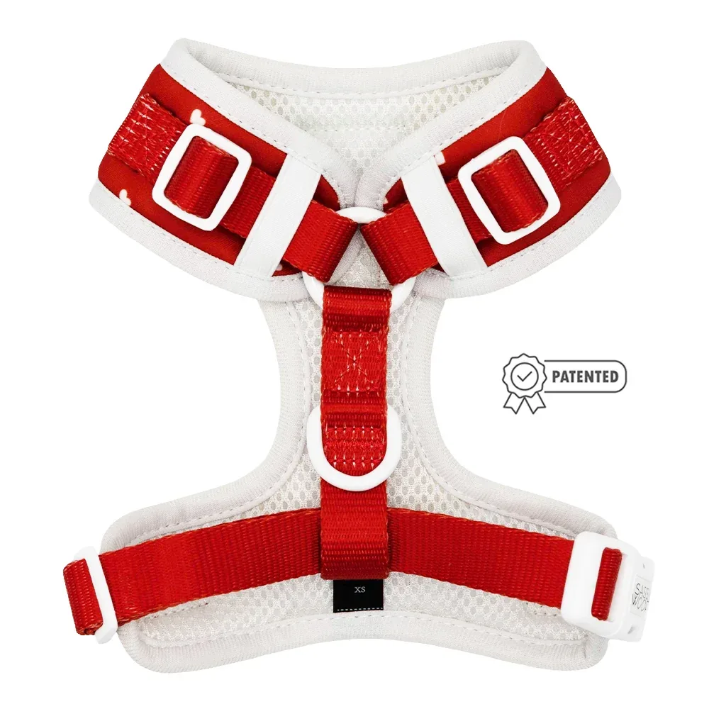 Dog Adjustable Harness - Little Love - Image 2