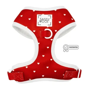 Dog Adjustable Harness - Little Love