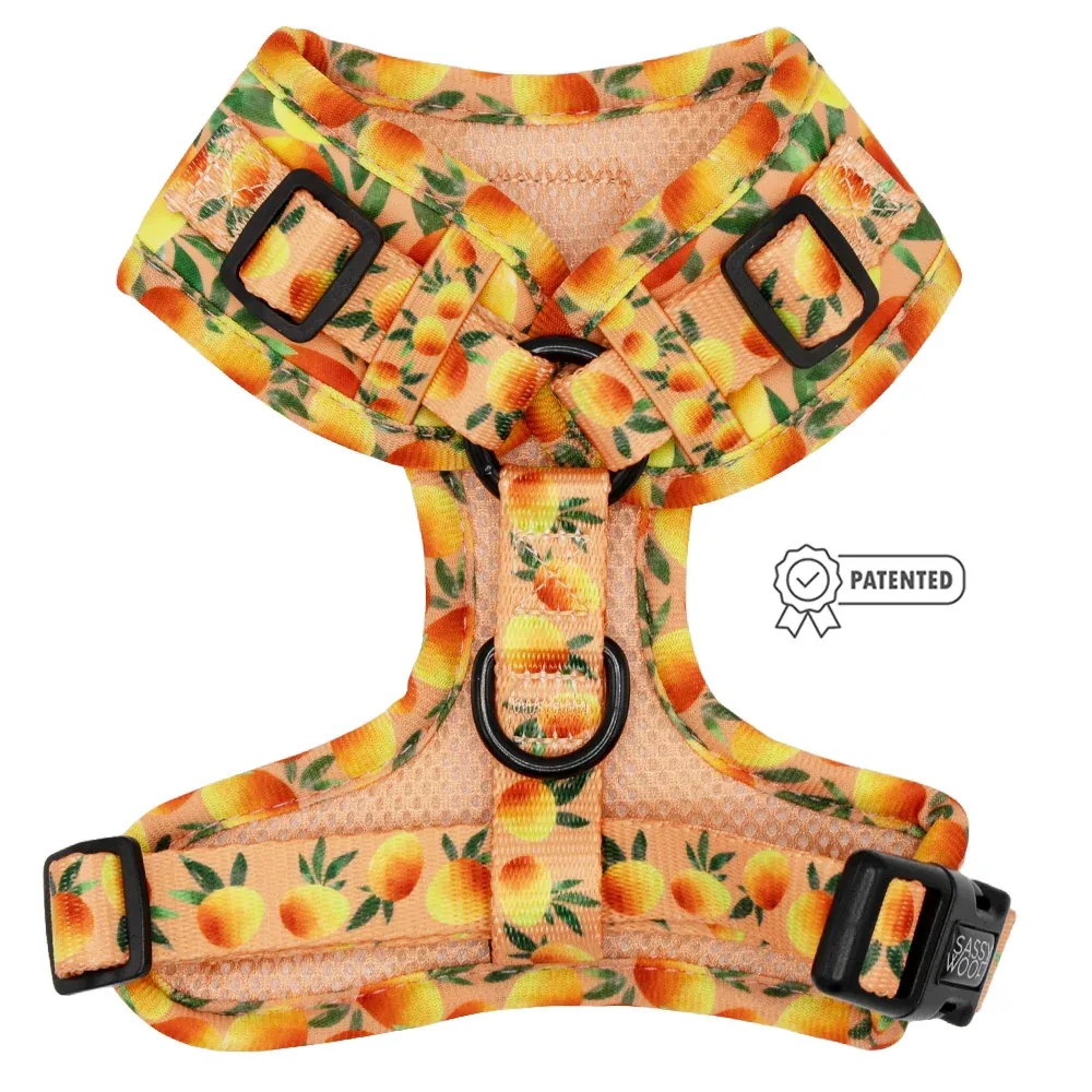 Dog Adjustable Harness - Mango Tango - Image 2
