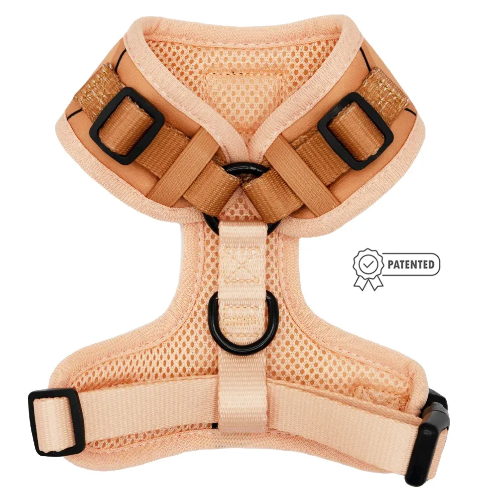 Dog Adjustable Harness - Muscle Bod - Image 2