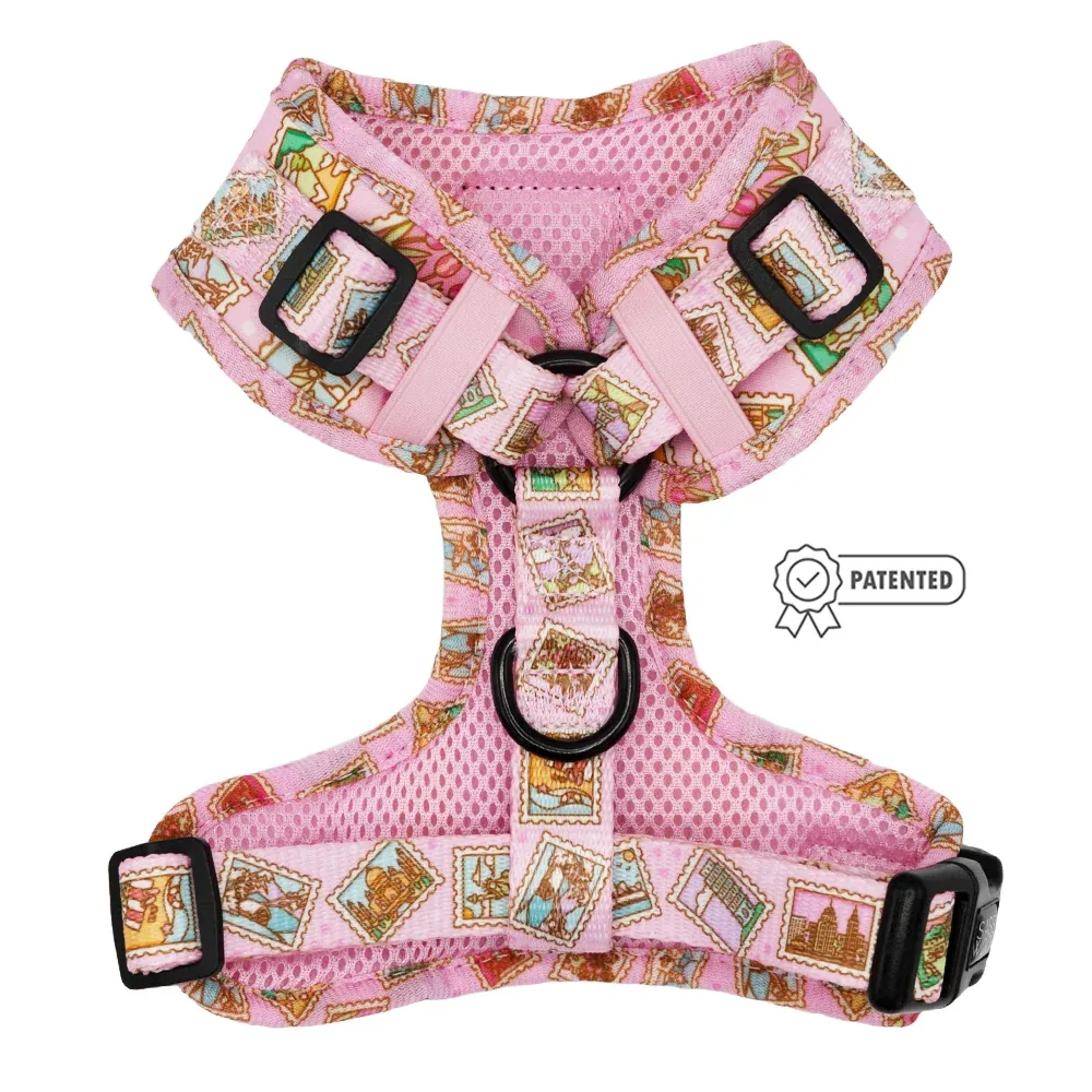 Dog Adjustable Harness - Out of Office - Image 2