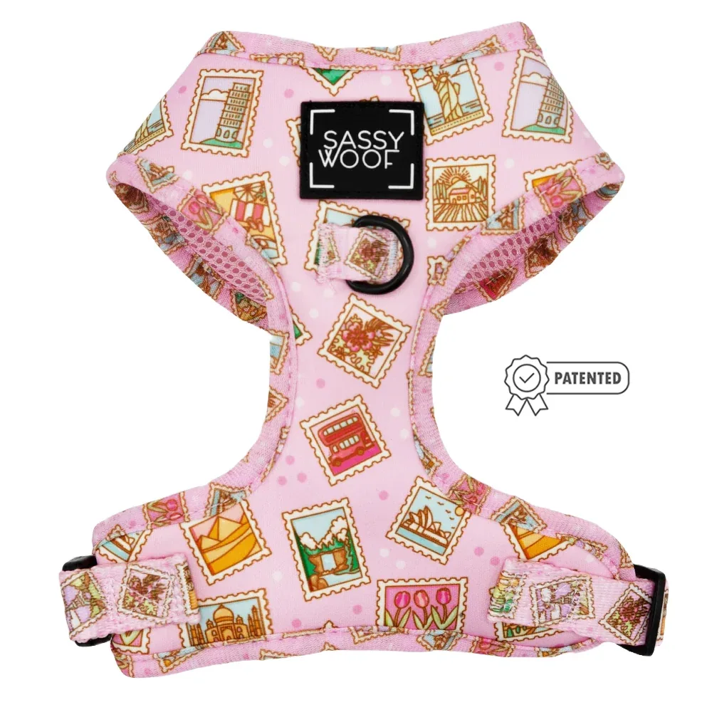 Dog Adjustable Harness - Out of Office