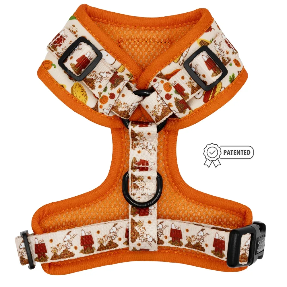 Dog Adjustable Harness - Peanuts™ Harvest - Image 2
