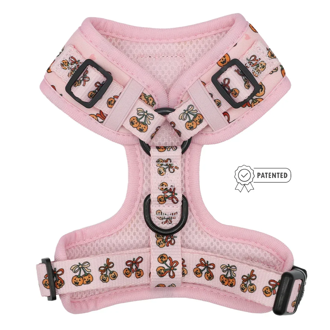 Dog Adjustable Harness - Sassy Lil Pumpkins - Image 2