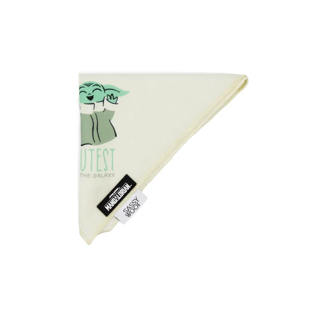 Dog Bandana - STAR WARS™ The Child™ - Image 2