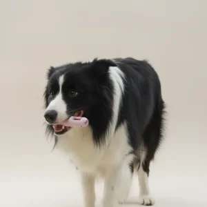 DOG Chew Toys For Teeth Cleaning,Pet Sausage Chew Brush,Pet Chew & Clean Buddy