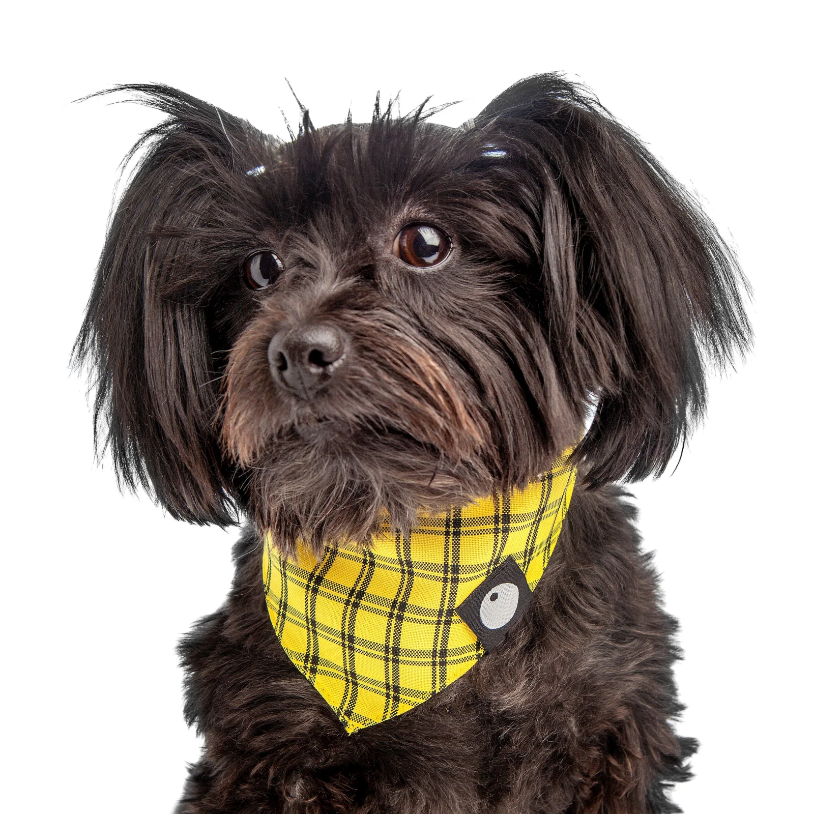 DOG & CO. | Check Bandana in Yellow - Image 2