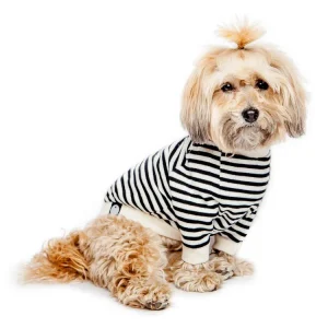 DOG & CO. | Cheeky Stripe Pullover in Black & White