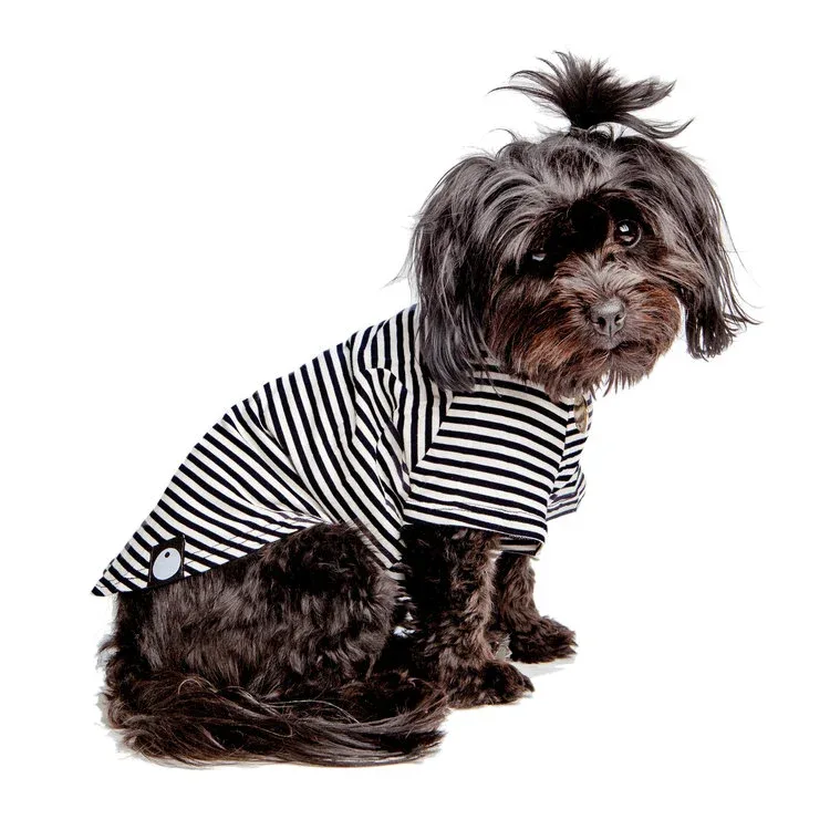 DOG & CO. | Perfect T in Black & White Stripe
