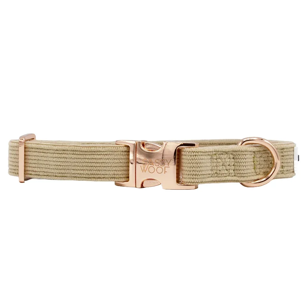 Dog Collar - Best Pup - Image 2