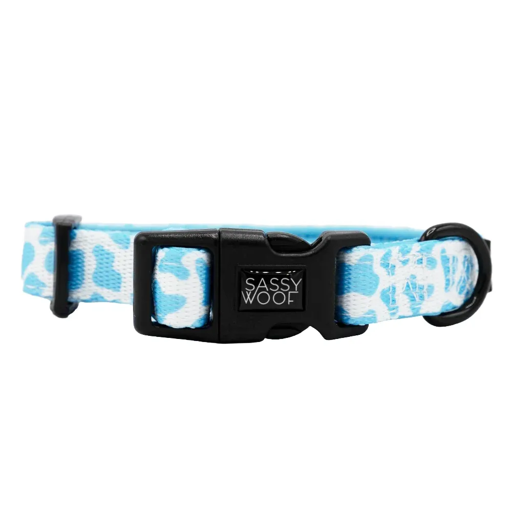 Dog Collar - Blueberry Milk - Image 2