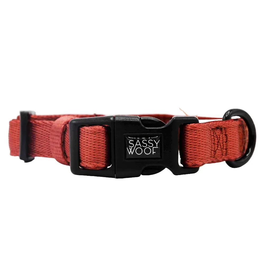 Dog Collar - Burgundy - Image 2