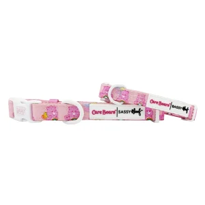 Dog Collar - Care Bears™ Cheer Bear
