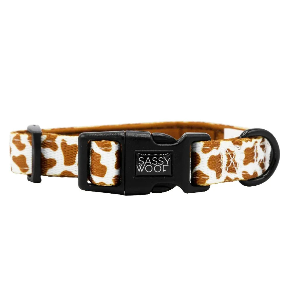 Dog Collar - Chocolate Milk - Image 2