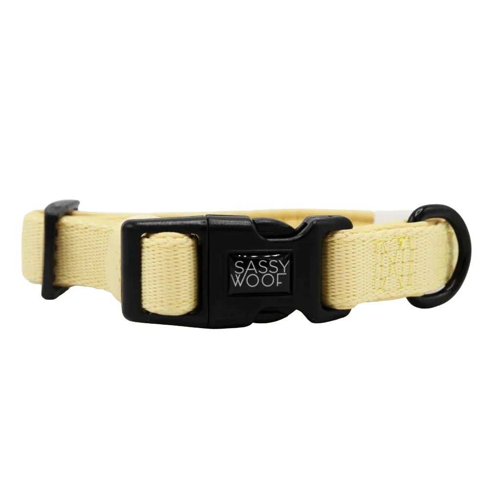 Dog Collar - Daffodil - Image 2