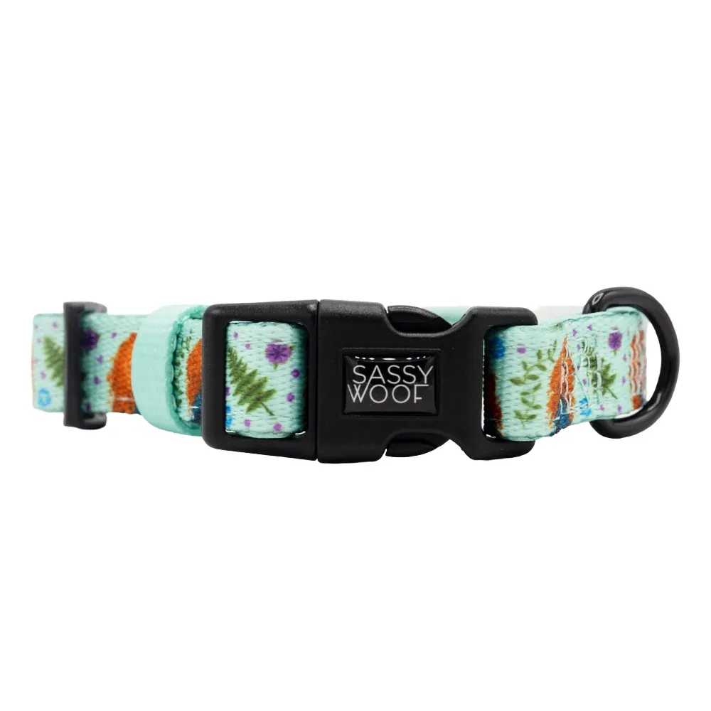 Dog Collar - Disney's Merida - Image 2