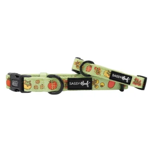 Dog Collar - Feeling Vine