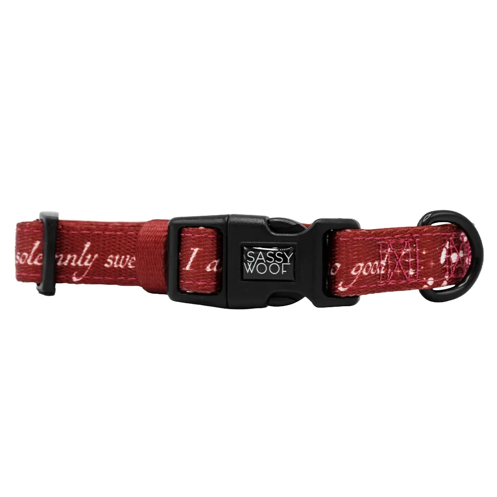 Dog Collar - Harry Potter™ Marauder's Map™ - Image 2
