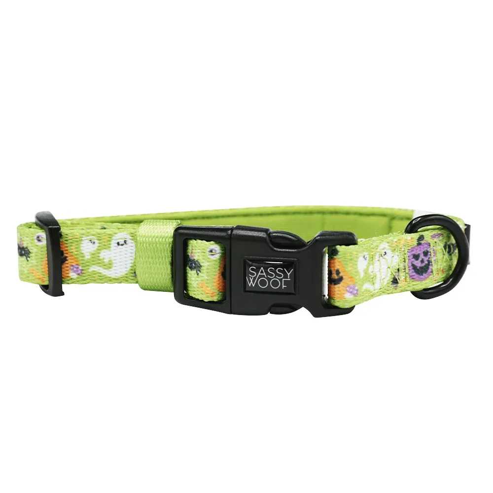Dog Collar - Haunt Mess - Image 2