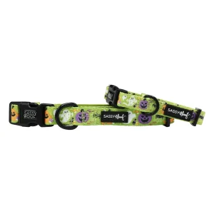 Dog Collar - Haunt Mess