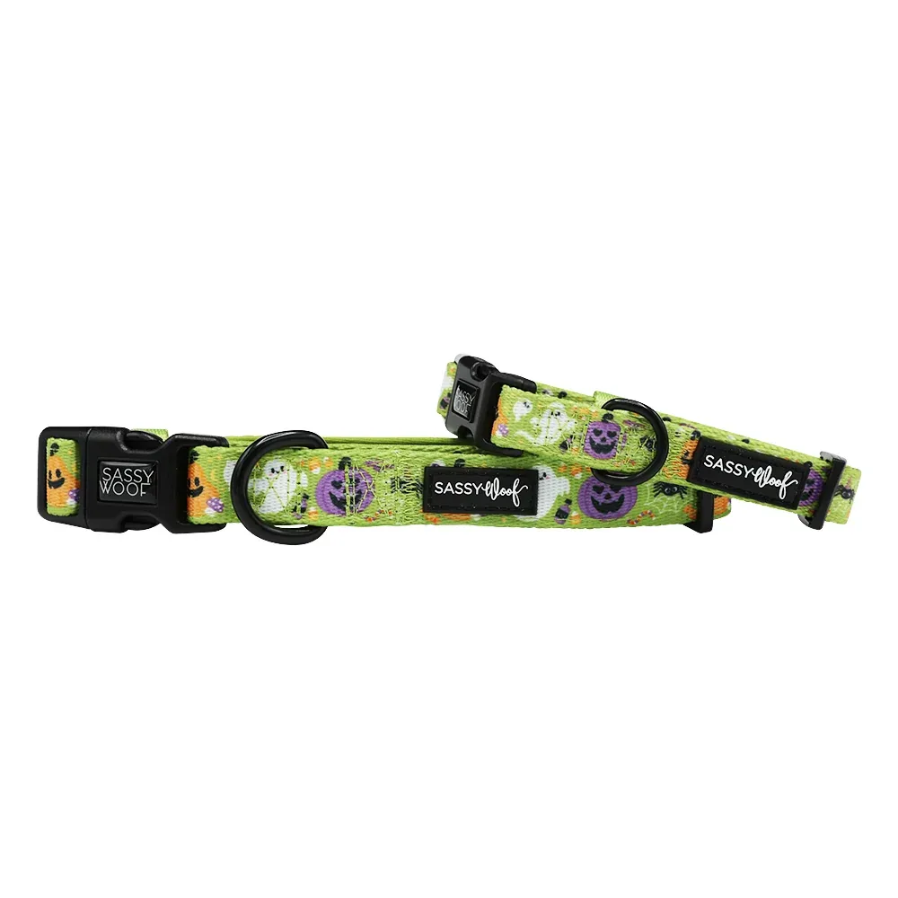 Dog Collar - Haunt Mess