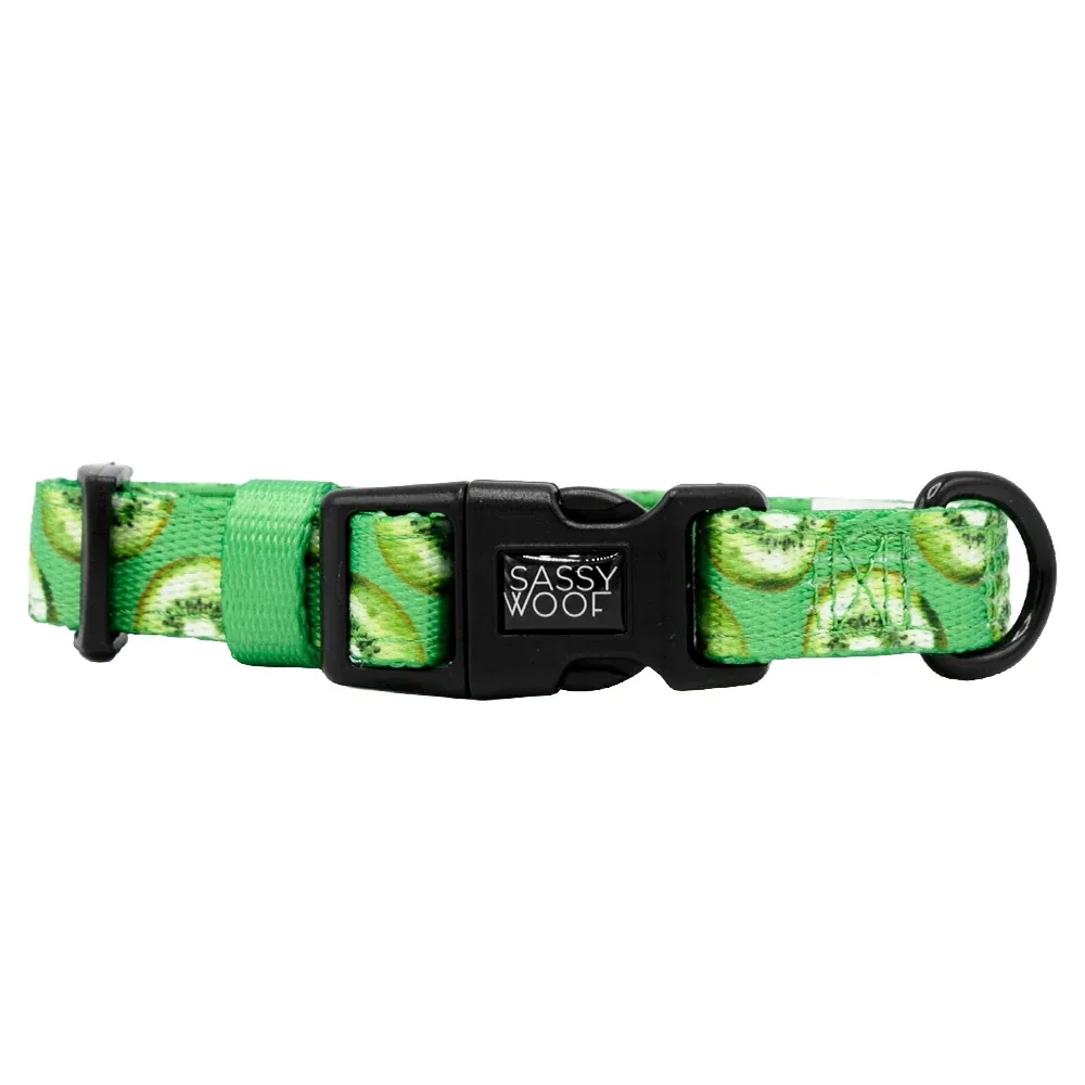 Dog Collar - Kiwi Krazy - Image 2
