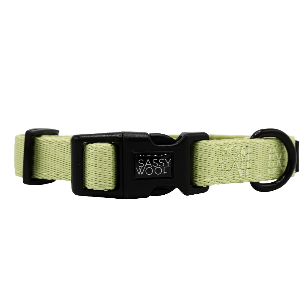 Dog Collar - Matcha - Image 2