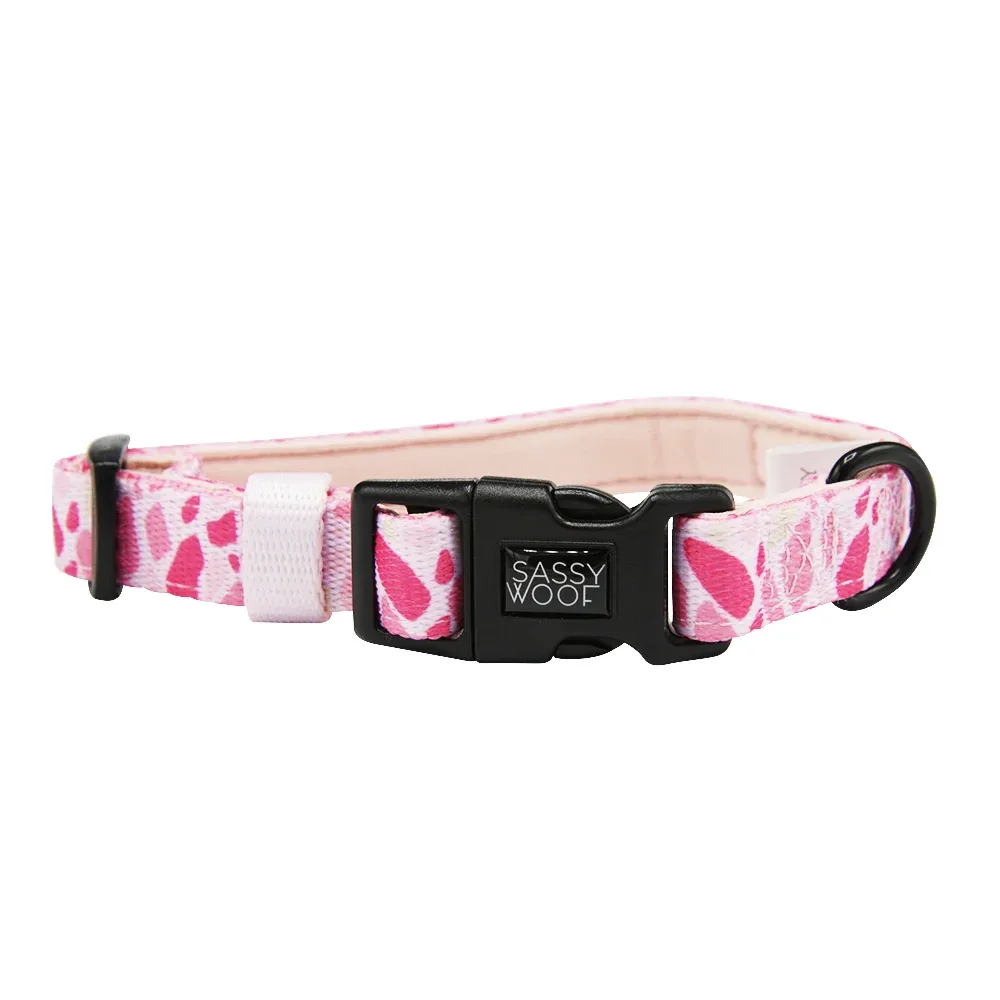 Dog Collar - Mykonos - Image 2