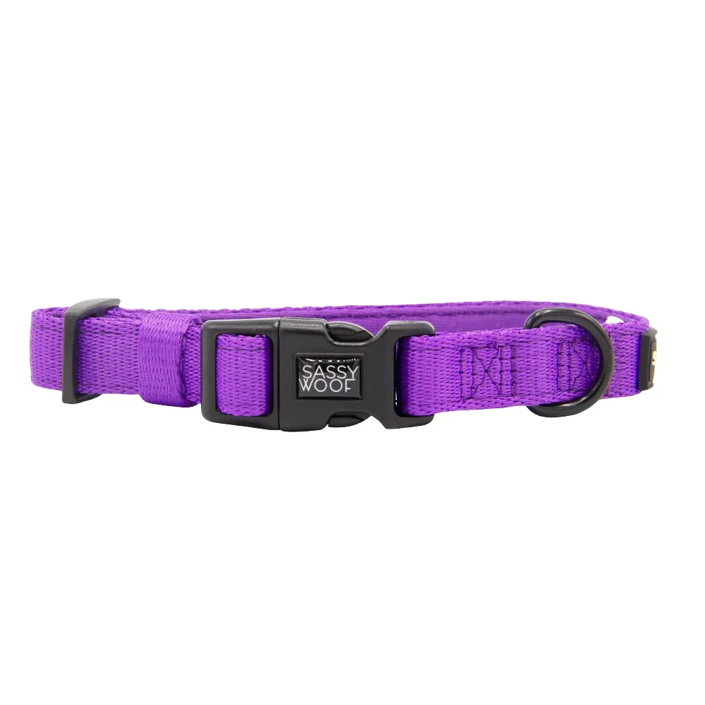 Dog Collar - Neon Purple - Image 2