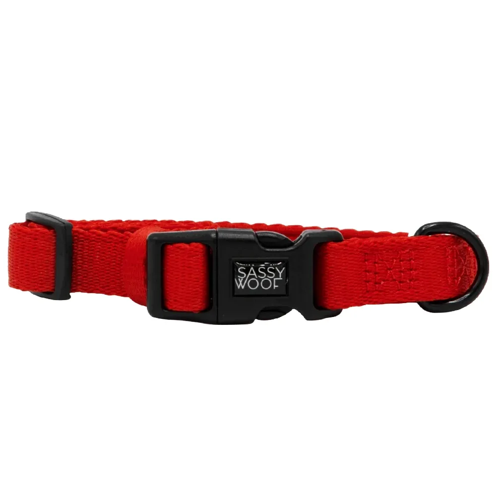 Dog Collar - Neon Red - Image 2