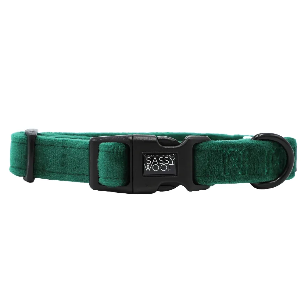 Dog Collar - Nice - Image 2