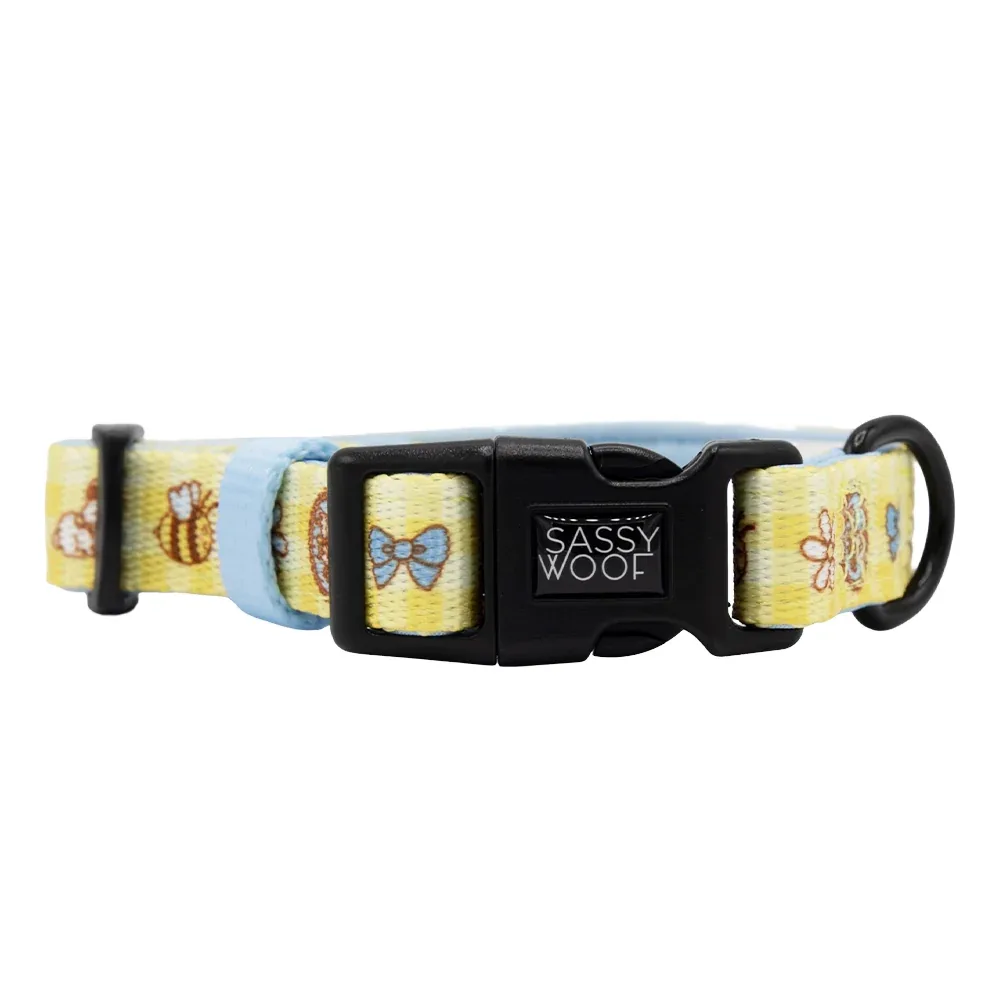 Dog Collar - Patch Perfect - Image 2