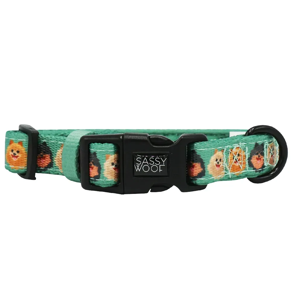 Dog Collar - Pawfect Poms - Image 2