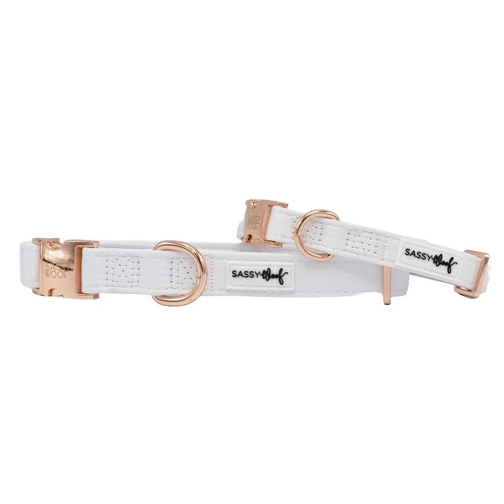 Dog Collar - Pup of Honor