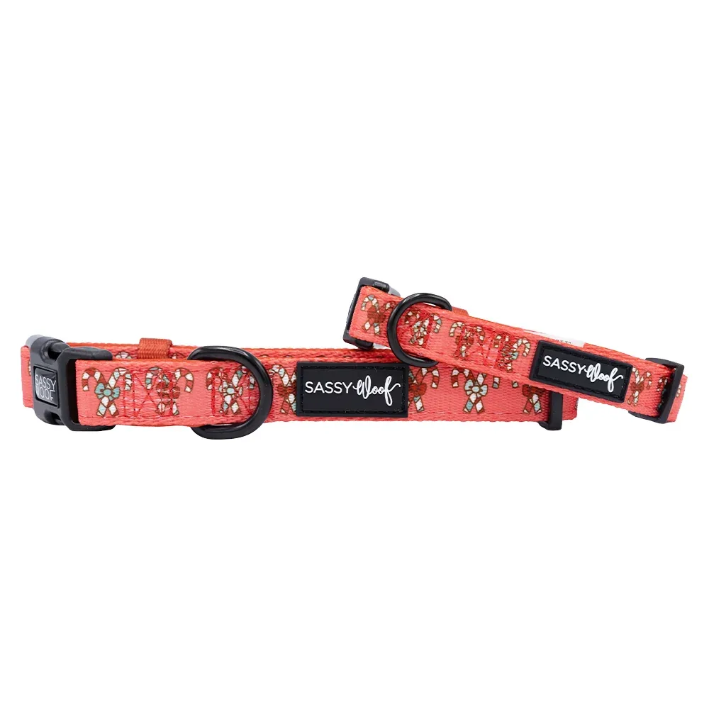 Dog Collar - Puppermint Twist