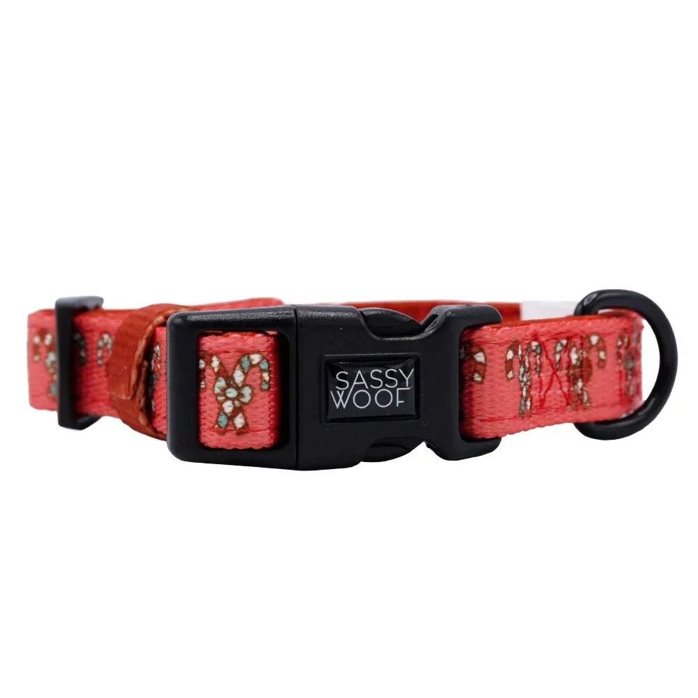 Dog Collar - Puppermint Twist - Image 2